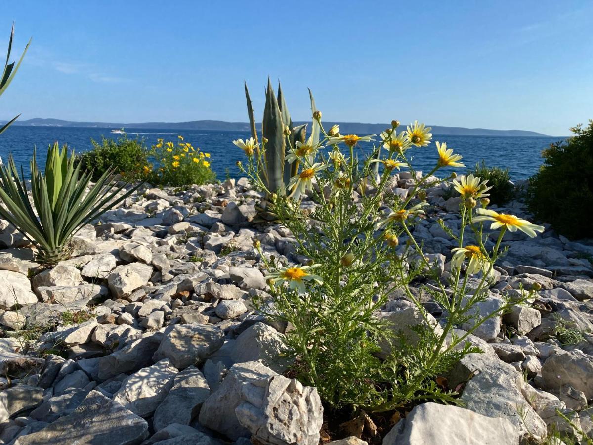Apartment Agnes With 63 M2 Rooftop Terrace, Grill And Pool Okrug Gornji Eksteriør bilde